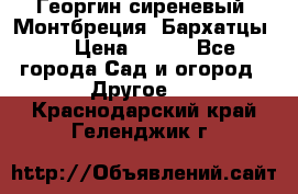 Георгин сиреневый. Монтбреция. Бархатцы.  › Цена ­ 100 - Все города Сад и огород » Другое   . Краснодарский край,Геленджик г.